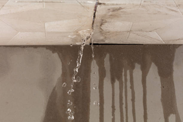 Professional Burst Pipe Cleanup technician working in Petersburg, VA